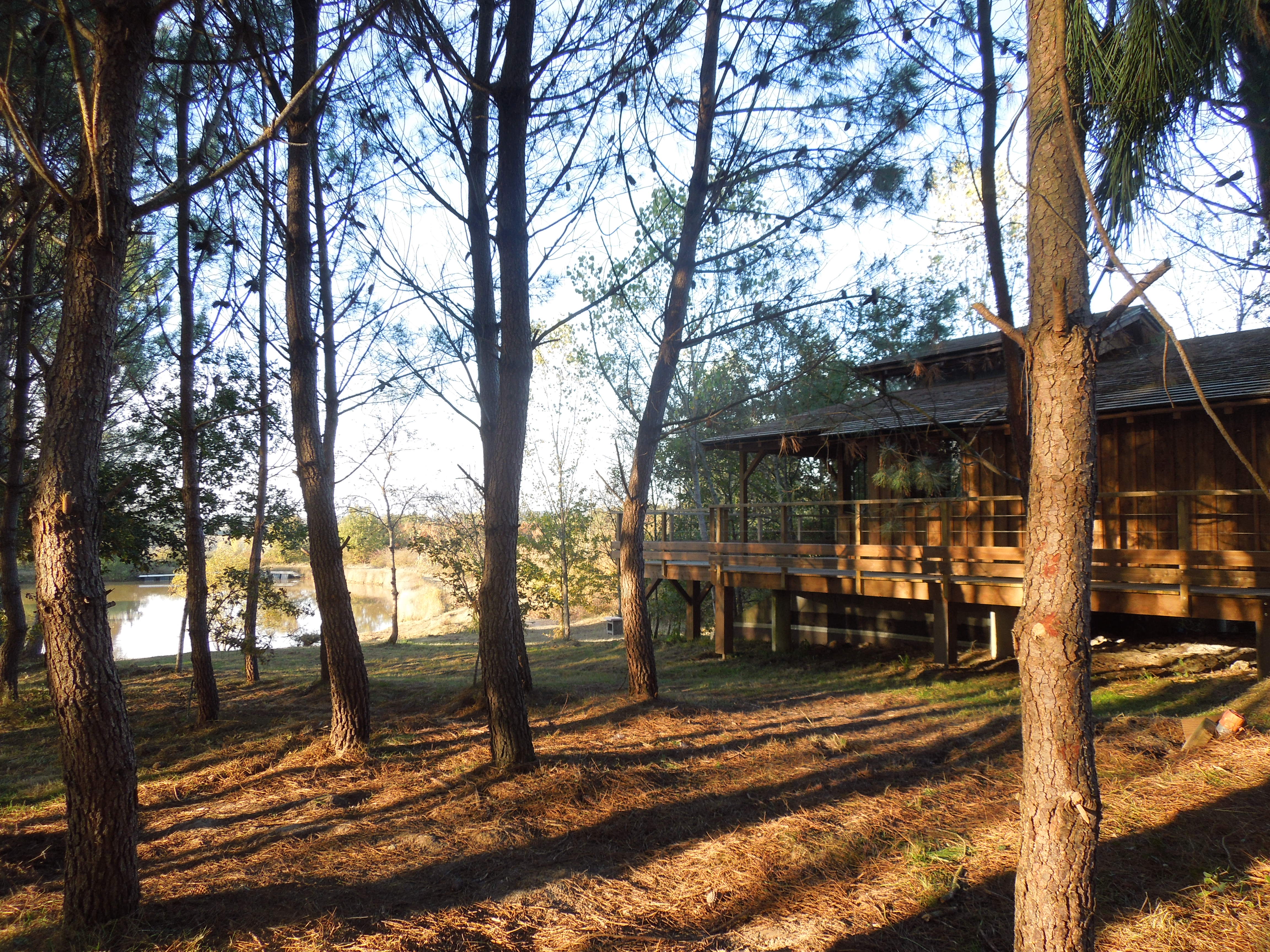 vue cabane extérieur